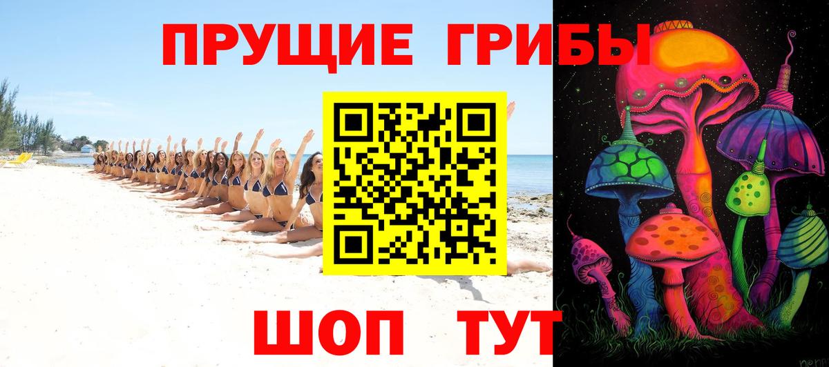 Гай  Псилоцибиновые грибы Psilocybe  Вход с VPN 
